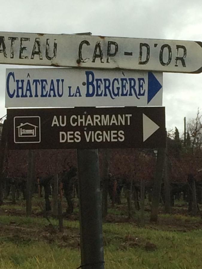 Au Charmant Des Vignes Montagne  Luaran gambar